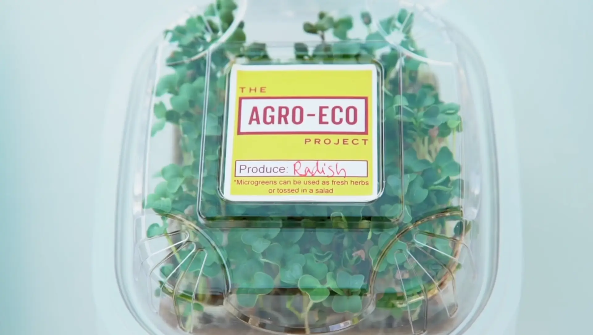 Featured image for “Pasta with a purpose: How a pasta shop and local farm are fighting food insecurity in Massachusetts”